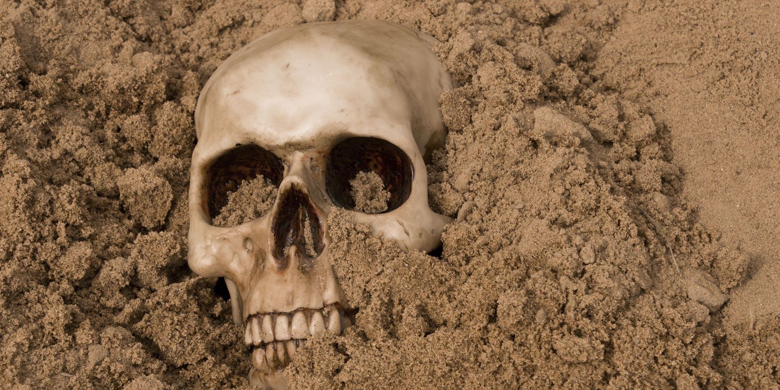 Why Frank Hurtte Believes Fee-Based Services Are Do-or-Die for Distributors