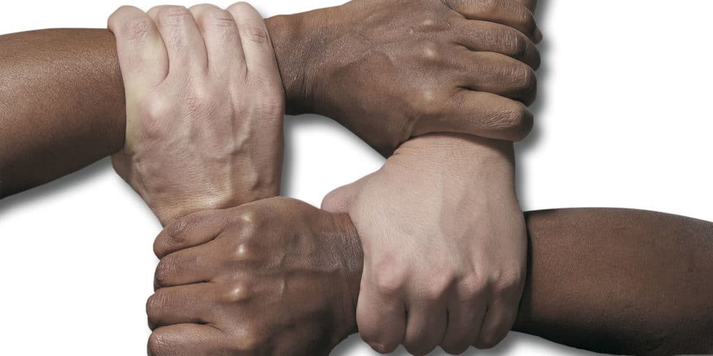 The Role of Marketing Groups & Co-Ops Amid Disruption, feat. Steve Ruane, IMARK Electrical