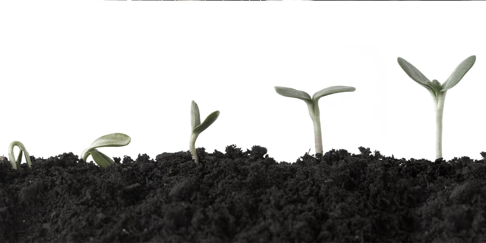 The Benefit of a Strong Value Proposition: More to the Bottom Line
