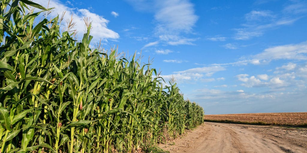 How Dakota Supply Group is Driving ‘Intentional Growth’ in Rural America 