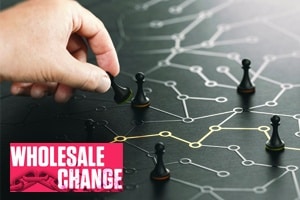 Wholesale Change: Your B2B Marketplace Strategy: What You Need to Compete