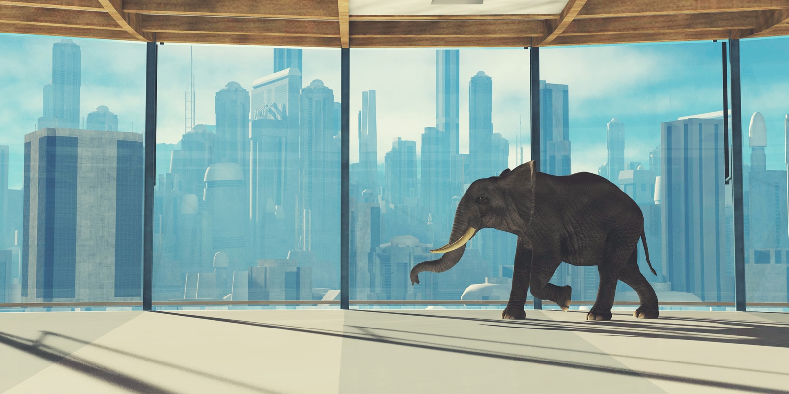 elephant in the room