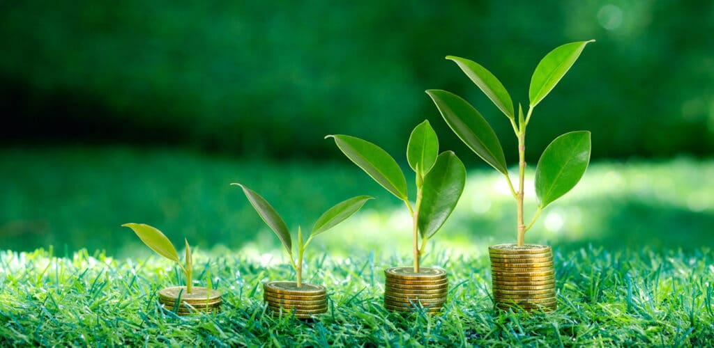 plants growing out of coins making an upward trending bar graph